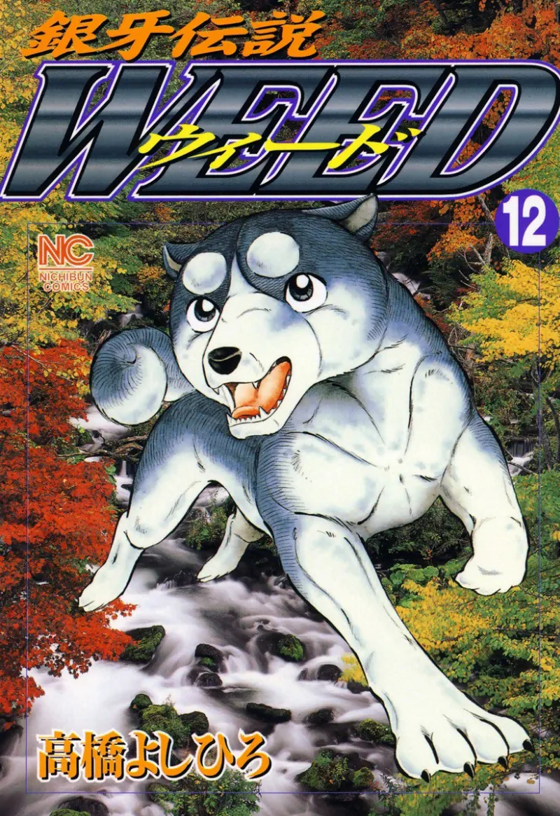 Volume 12