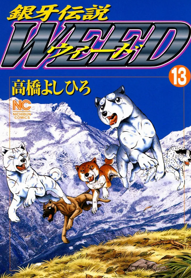 Volume 13