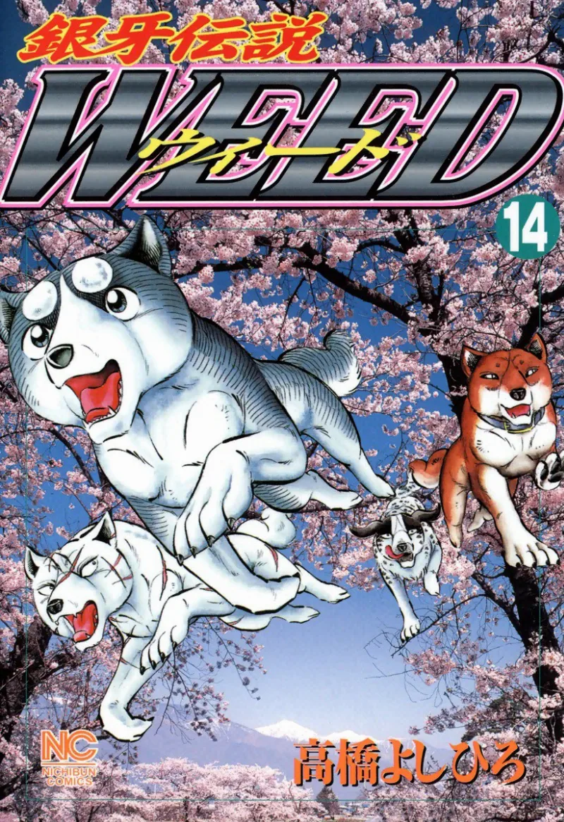 Volume 14