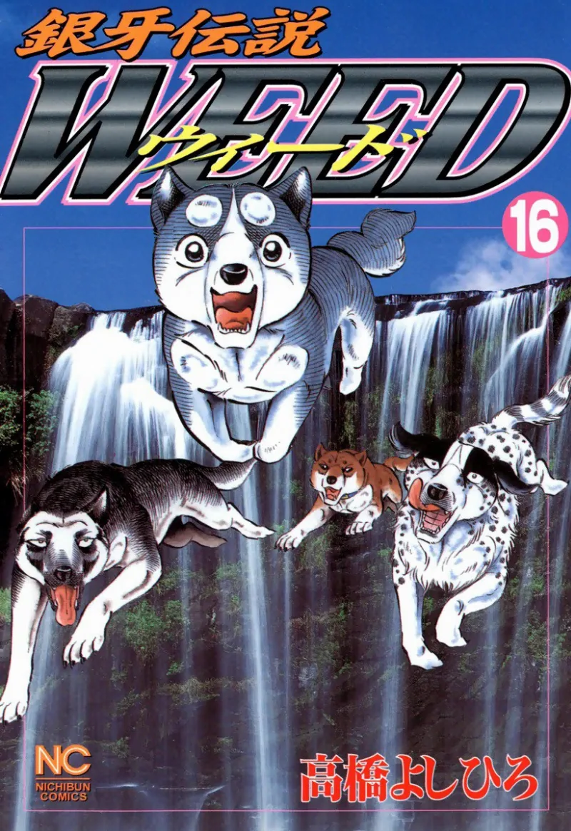 Volume 16.1