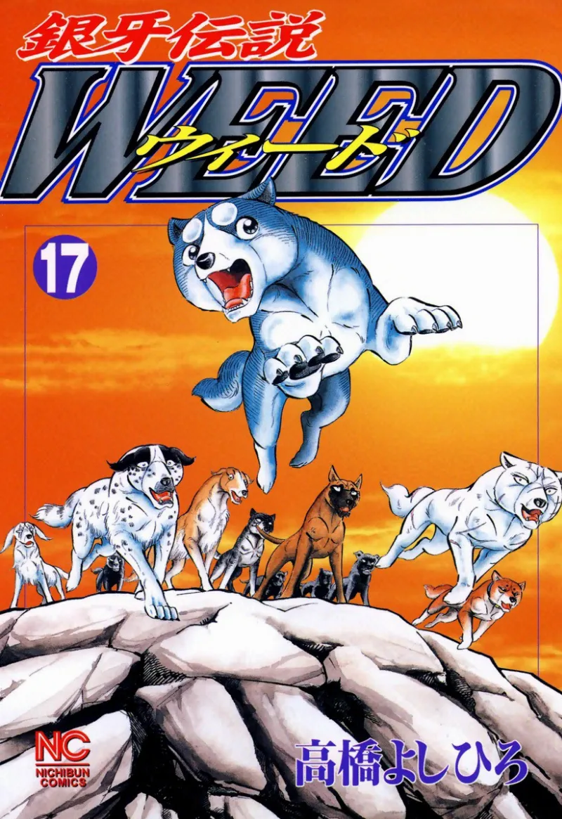 Volume 17
