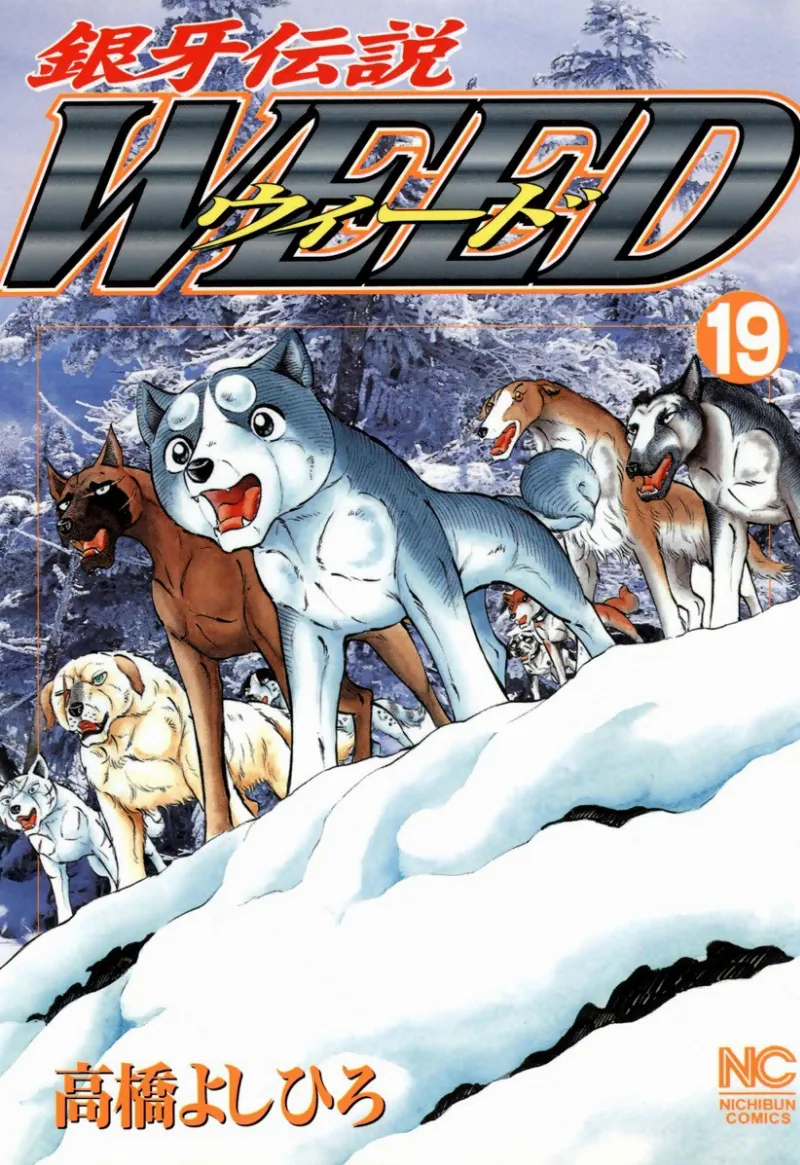 Volume 19