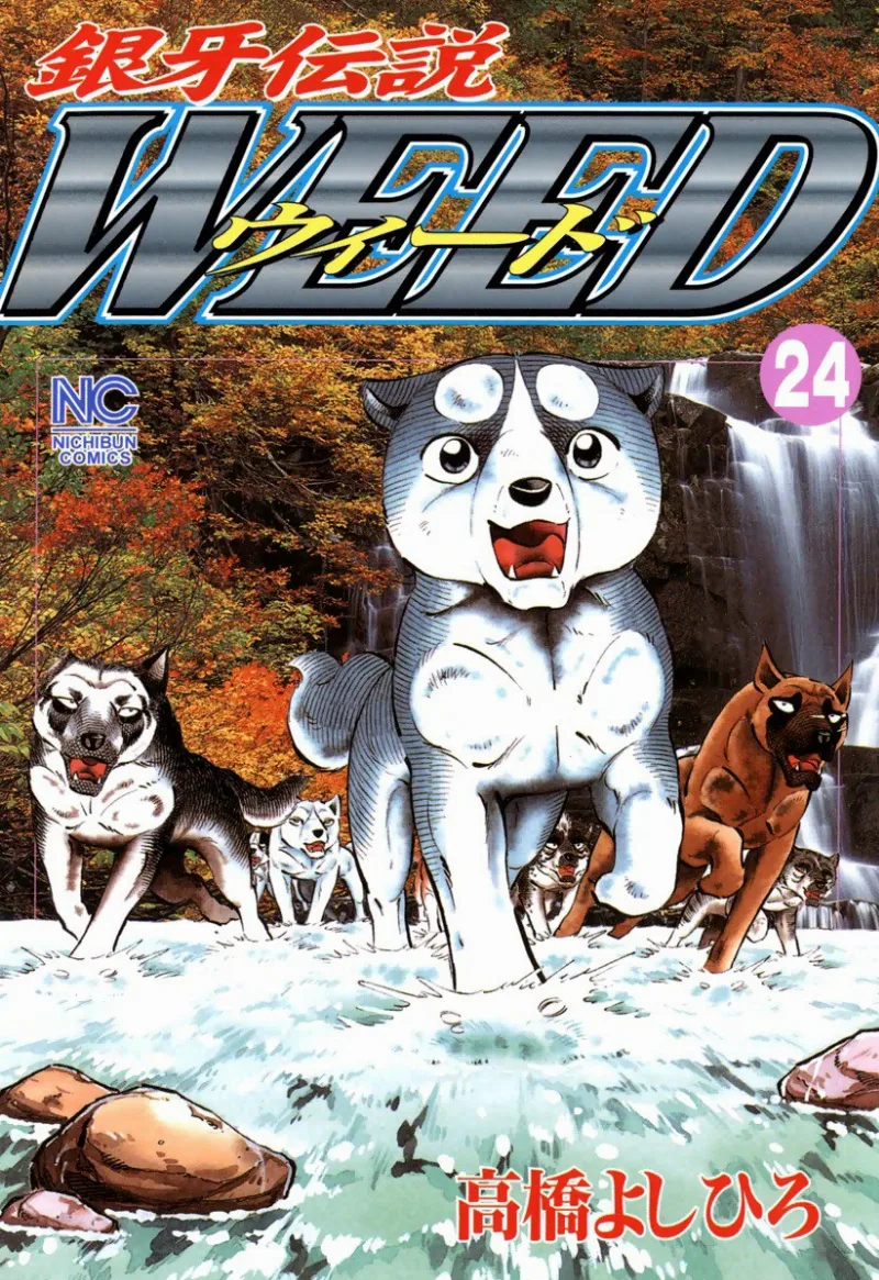 Volume 24