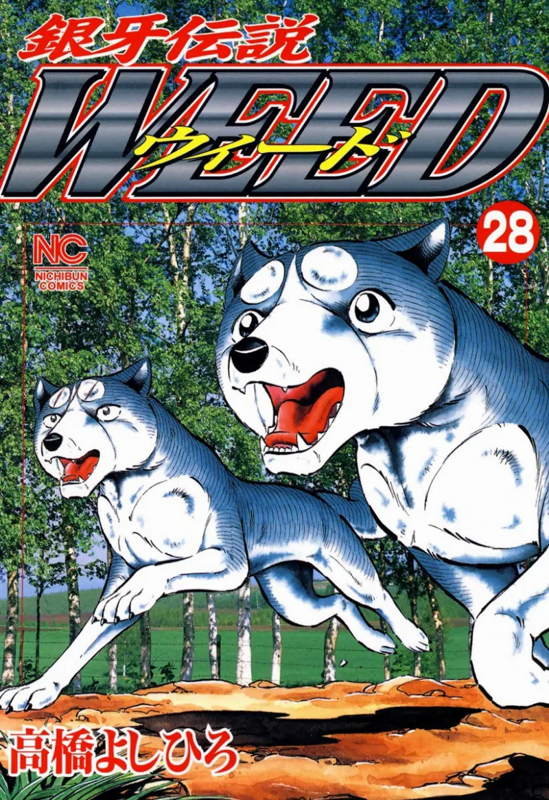 Volume 28