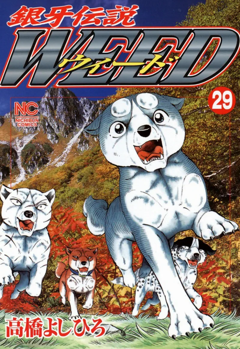 Volume 29
