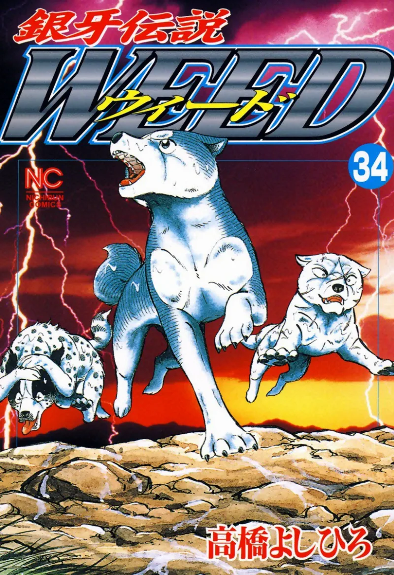 Volume 34