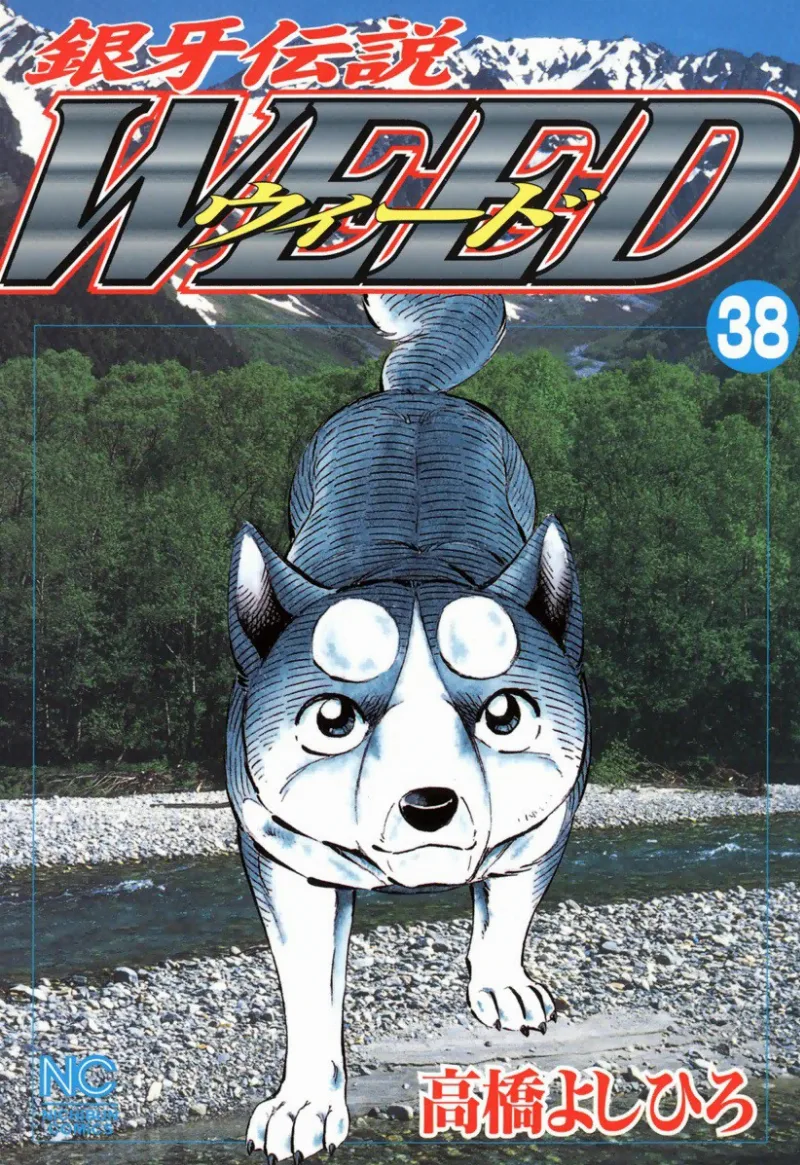 Volume 38