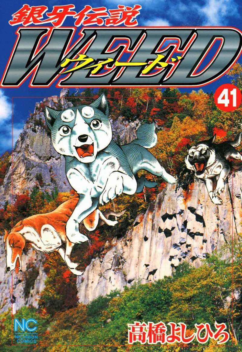 Volume 41