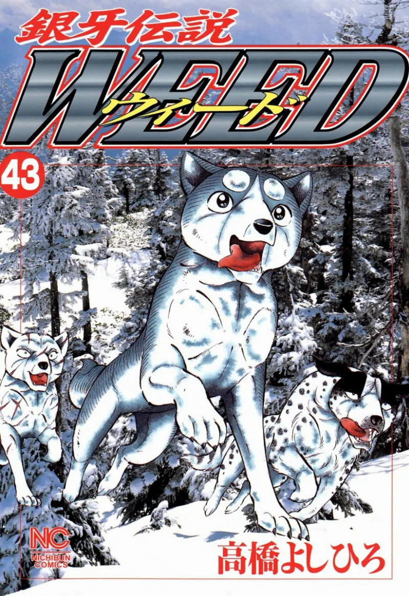 Volume 43