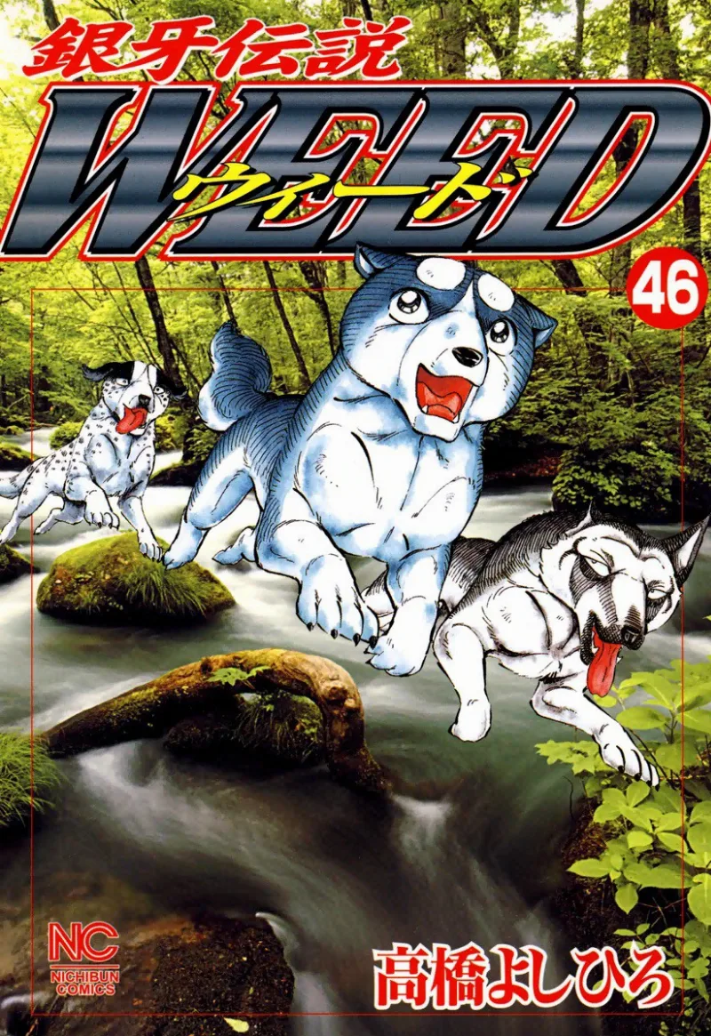 Volume 46