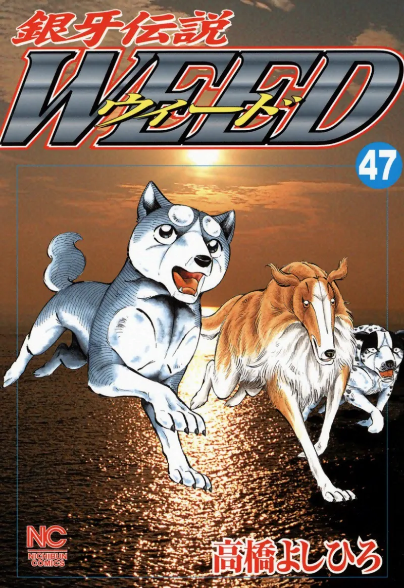 Volume 47