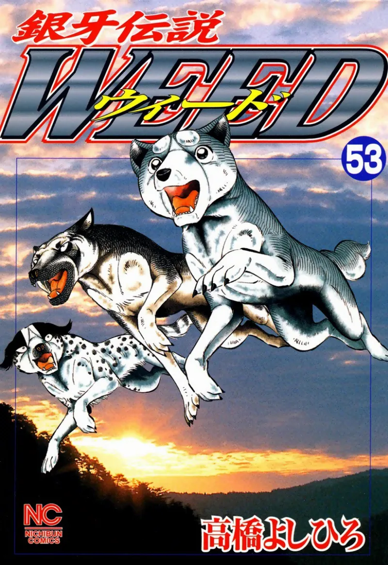 Volume 53