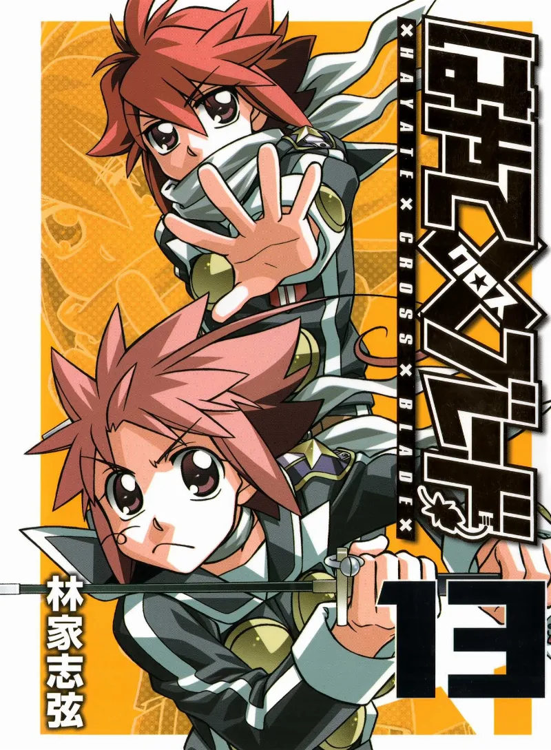 Volume 13