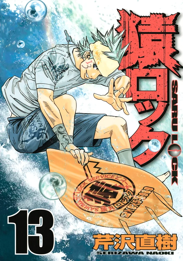 Volume 13