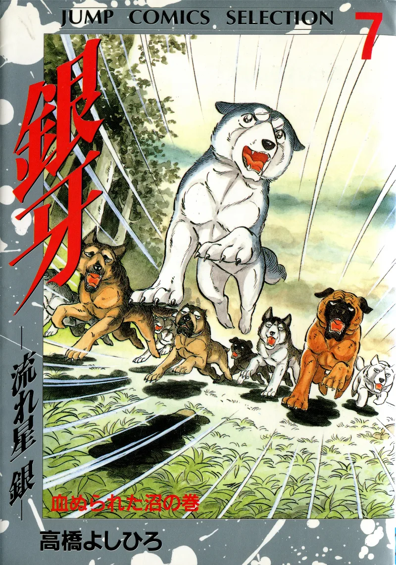 Volume 07
