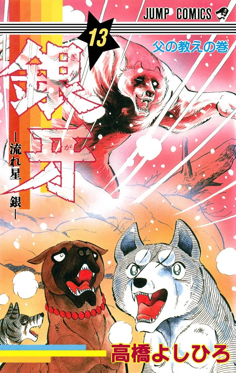 Volume 13