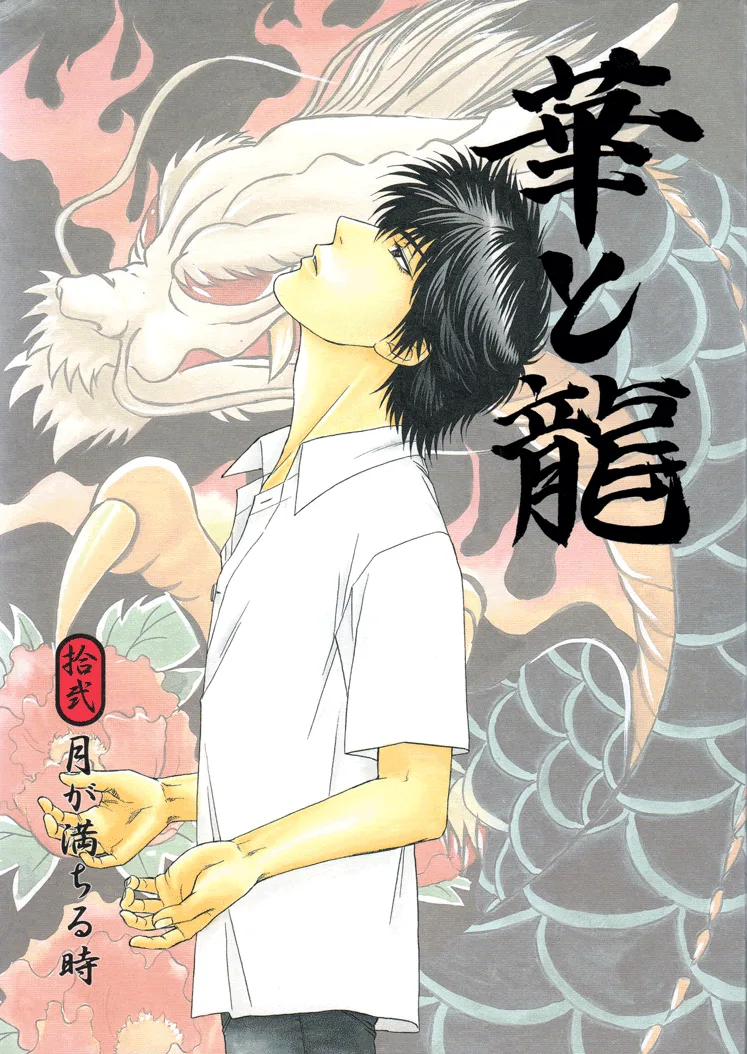 Volume 12