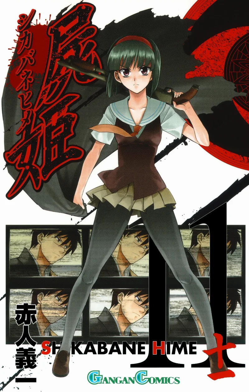 Volume 11