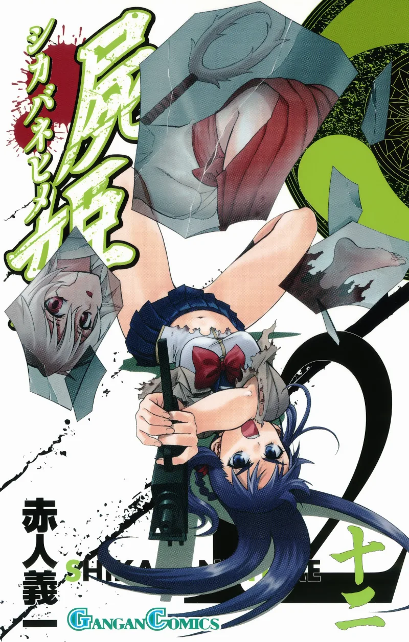 Volume 12