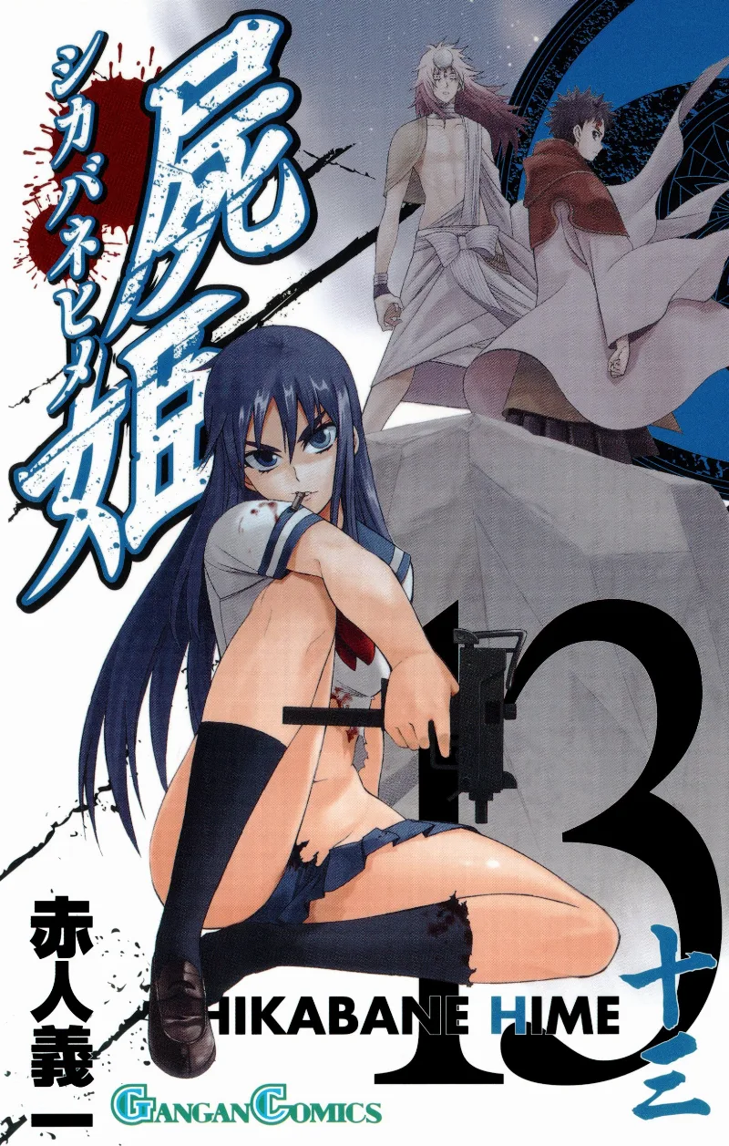 Volume 13