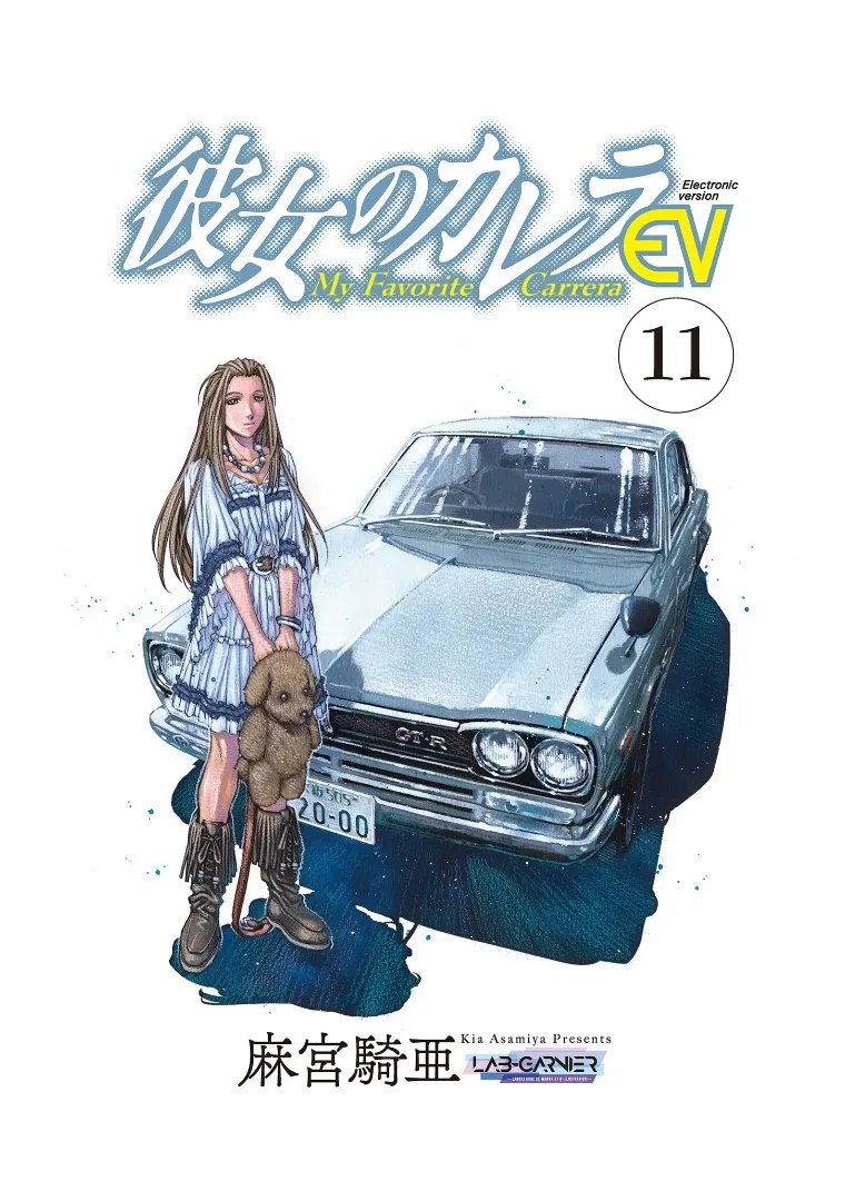 Volume 11