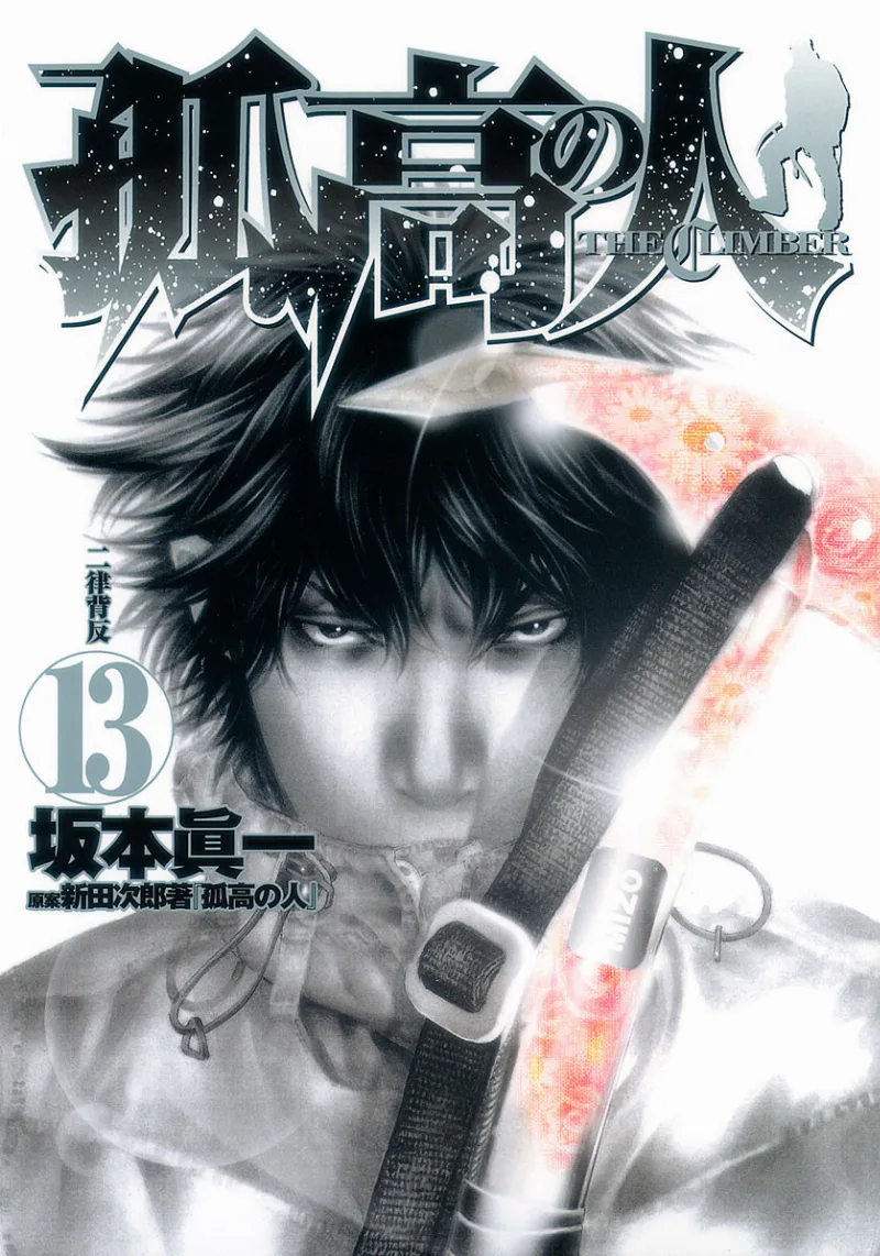 Volume 13