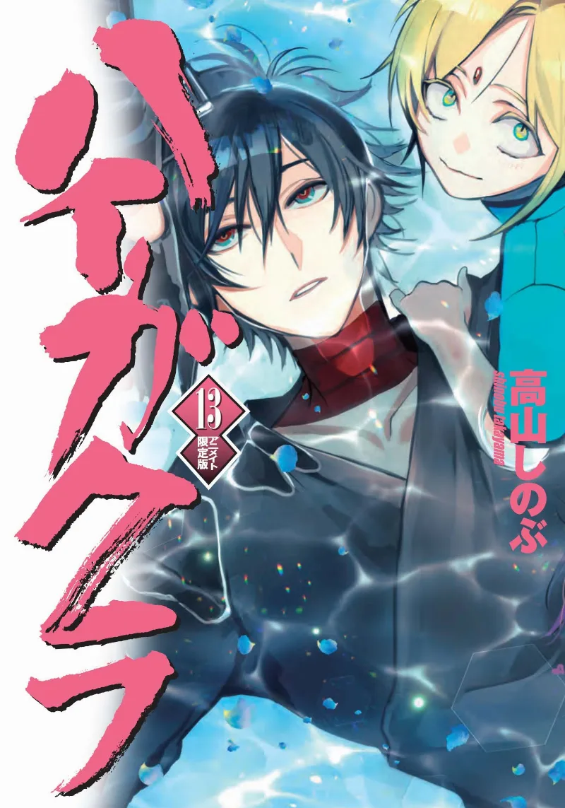 Volume 13.2