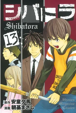 Volume 13