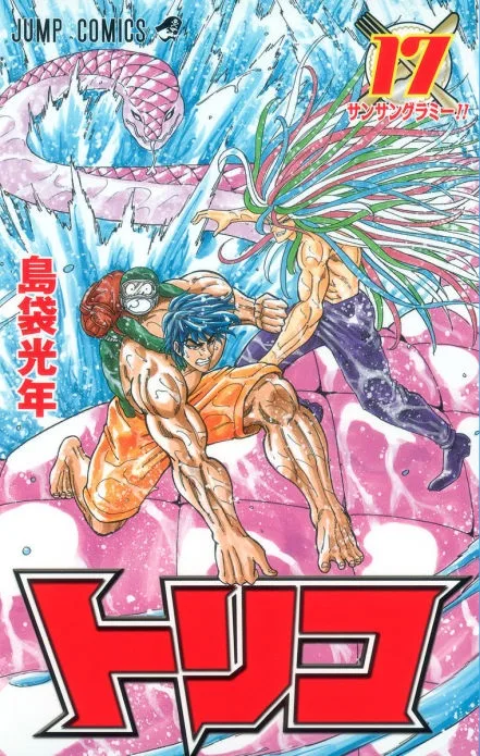 Volume 17
