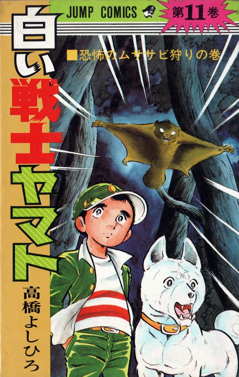 Volume 11