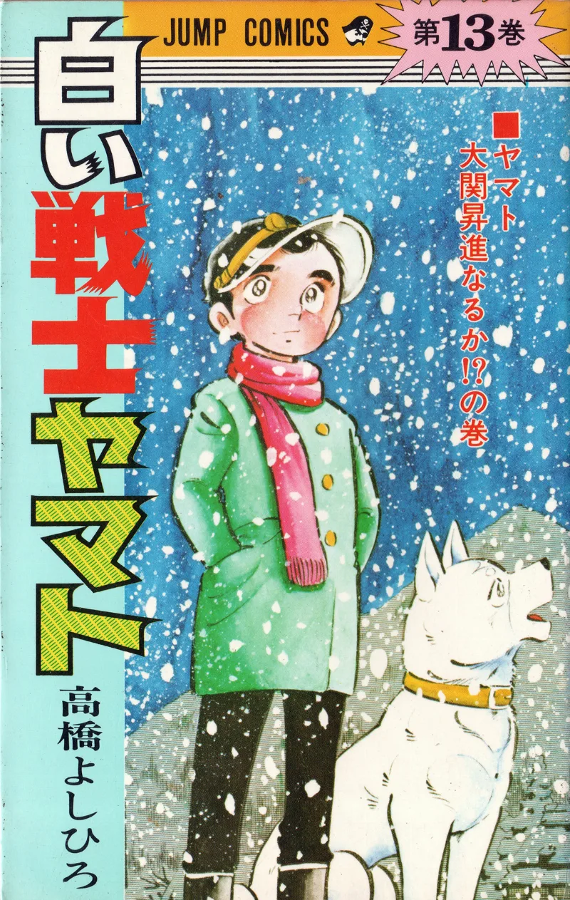 Volume 13