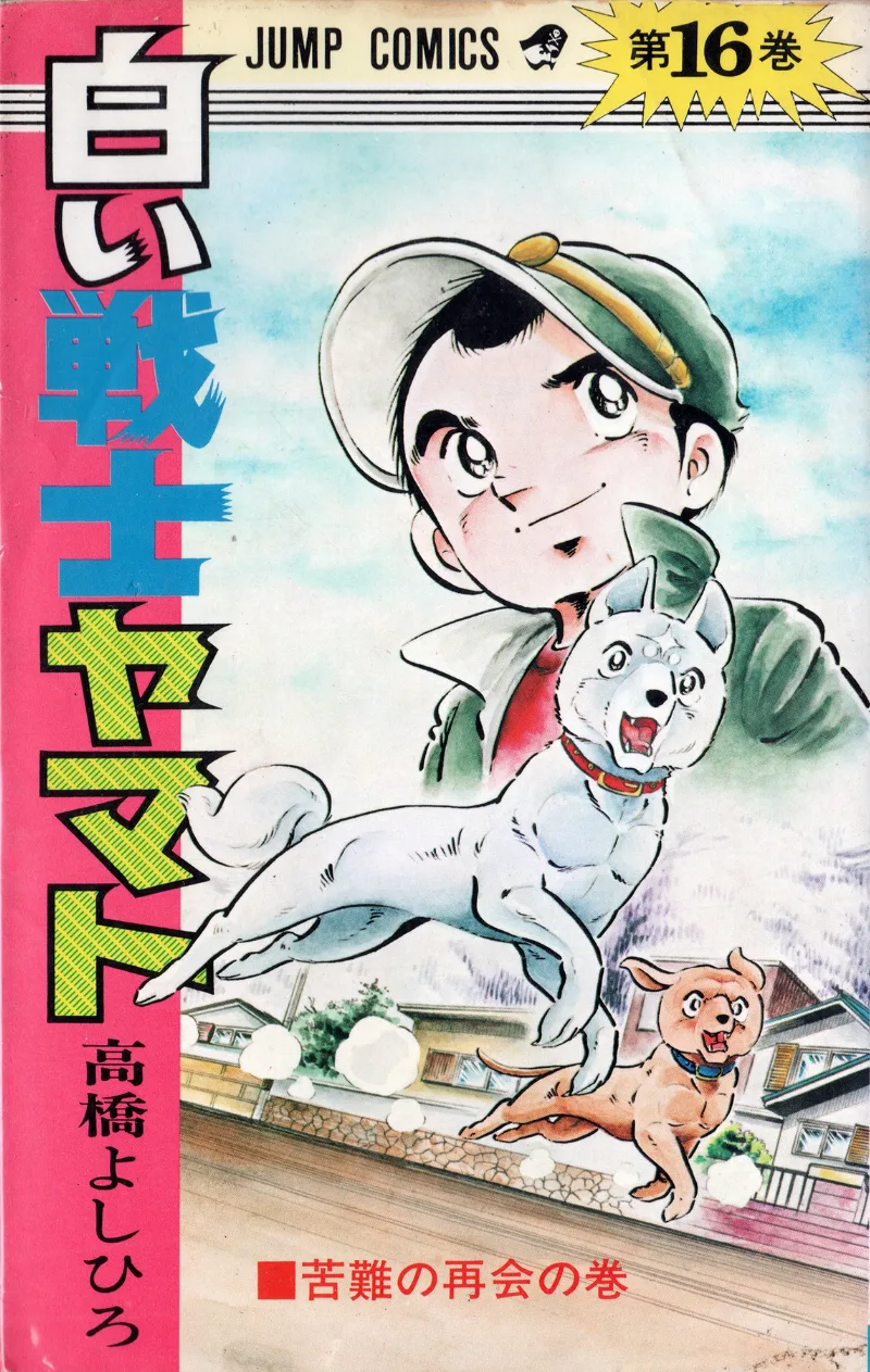 Volume 16