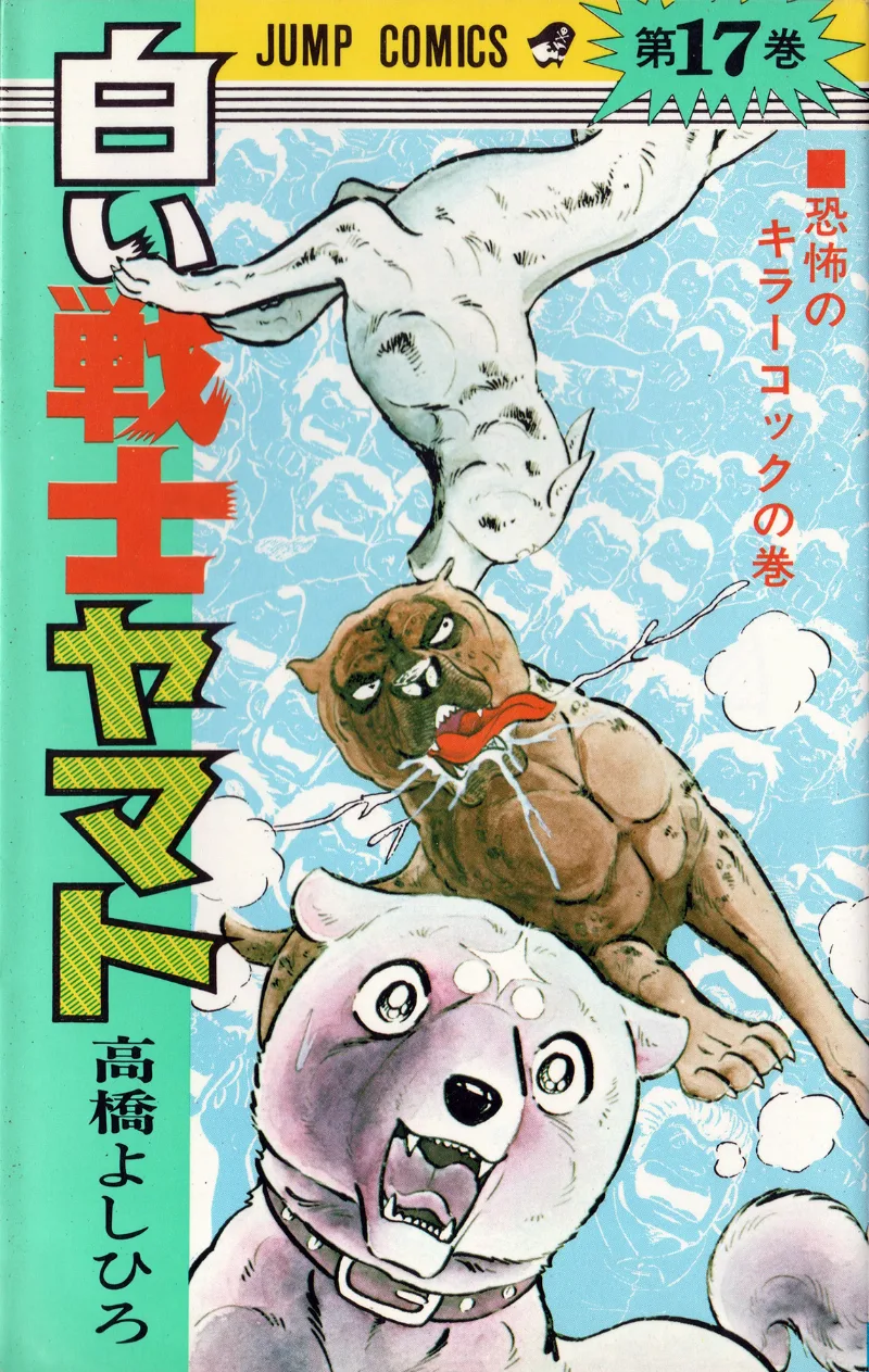 Volume 17