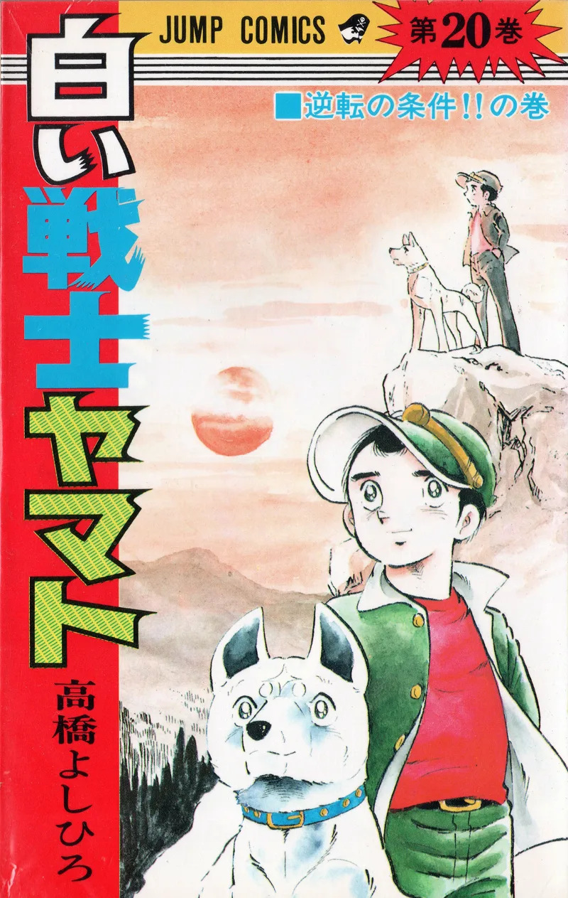 Volume 20