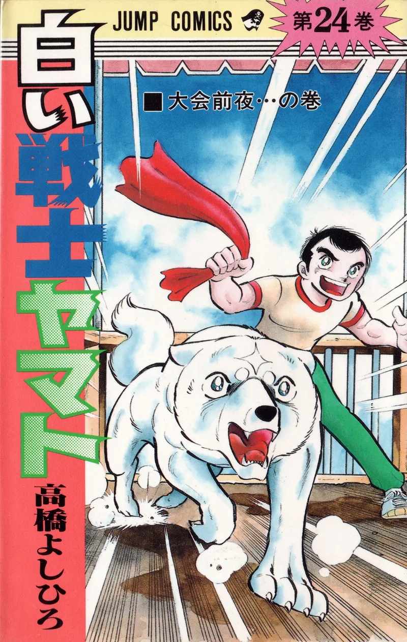 Volume 24