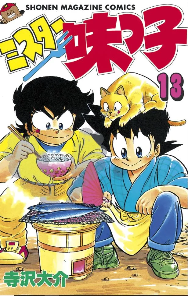 Volume 13