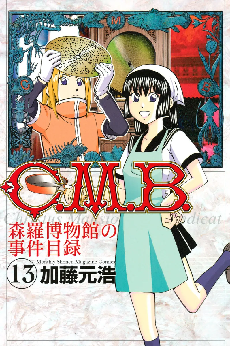 Volume 13