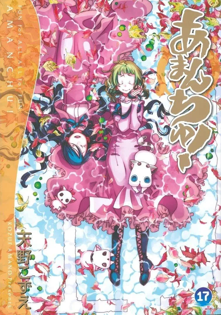 Volume 17