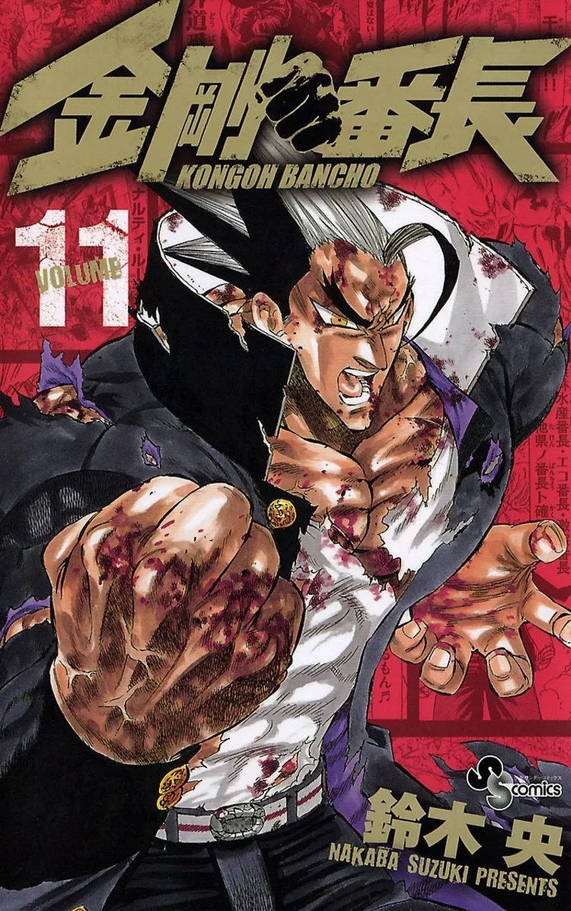 Volume 11