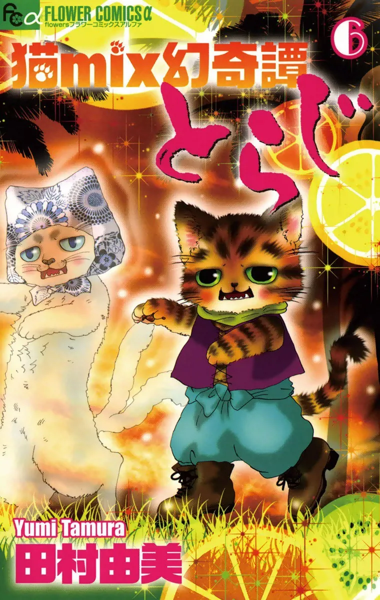 Volume 06