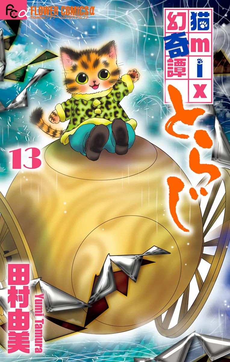 Volume 13