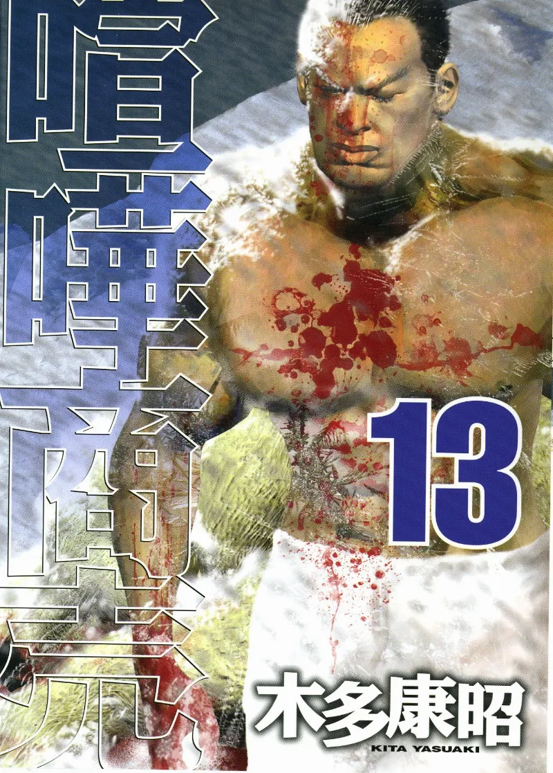 Volume 13