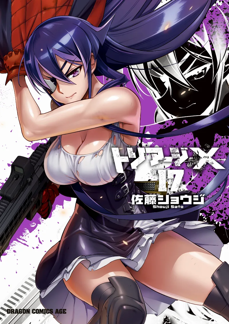 Volume 17