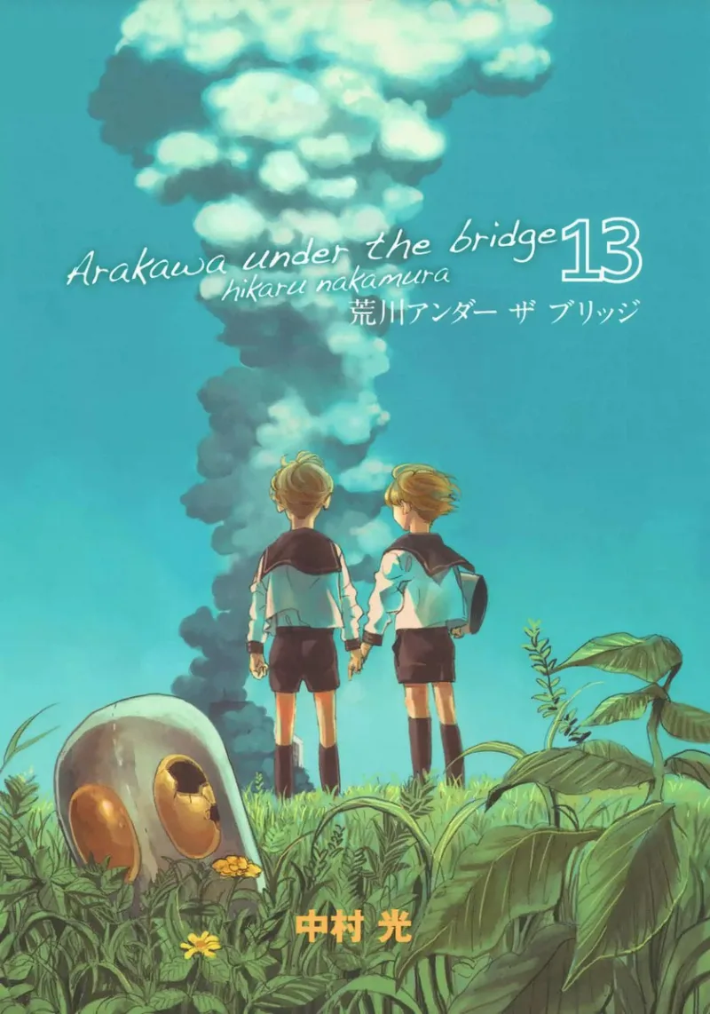 Volume 13