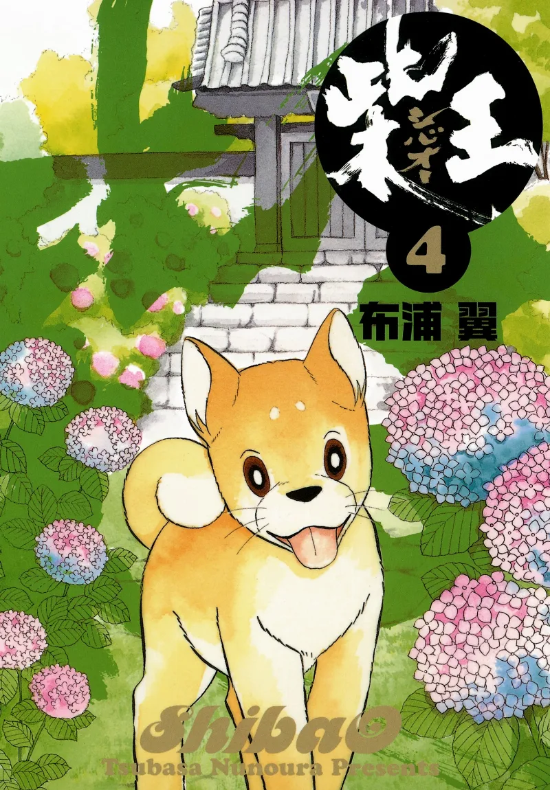 Volume 04