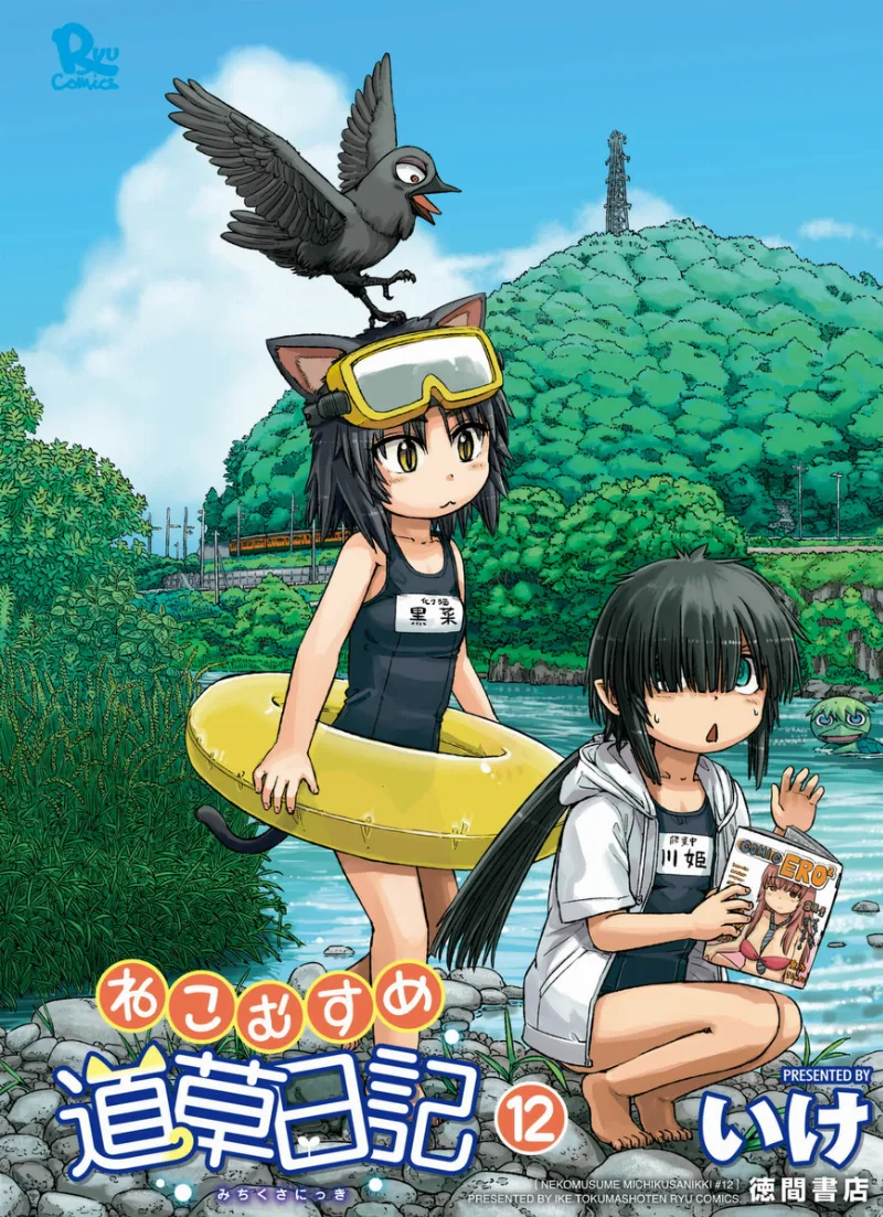 Volume 12
