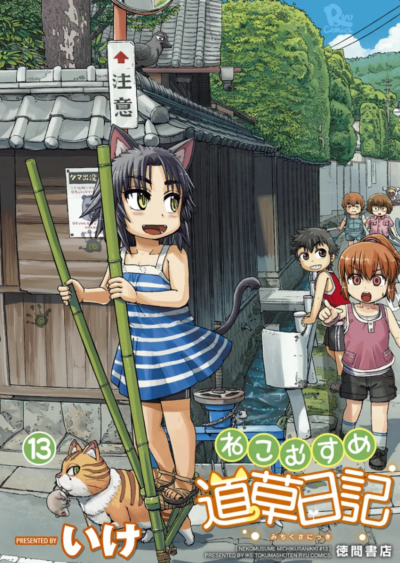 Volume 13
