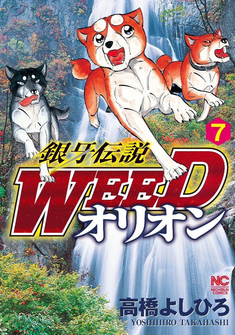 Volume 07