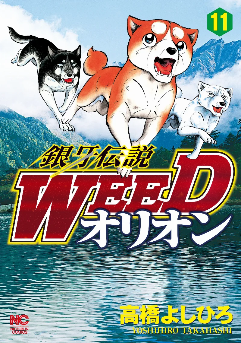 Volume 11