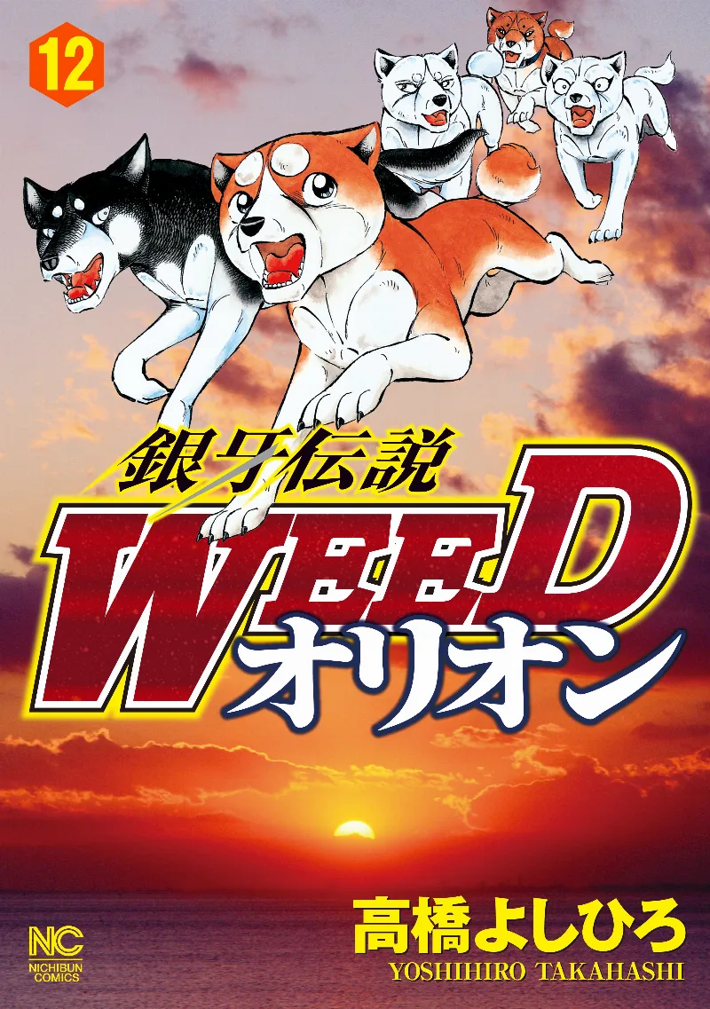 Volume 12